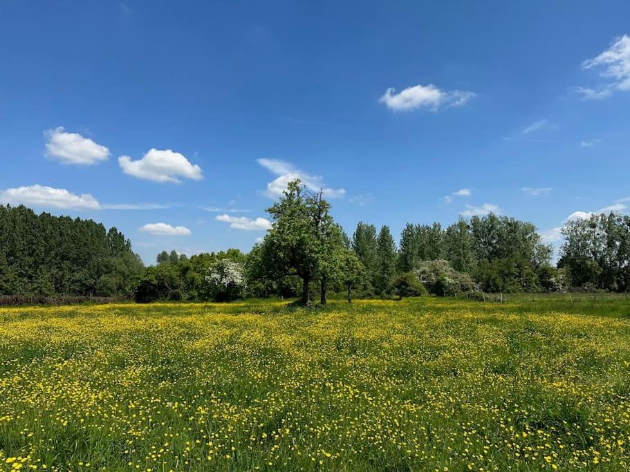 Vakantiewoning Hoogveld Kortessem Zewnętrze zdjęcie