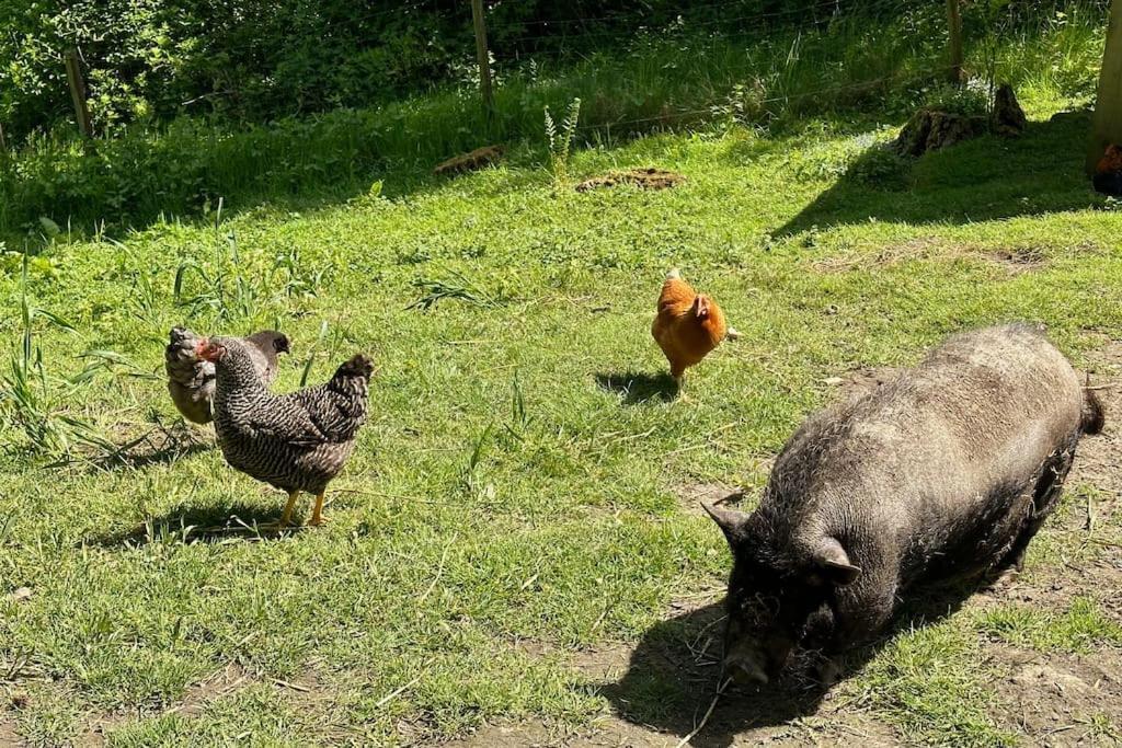 Vakantiewoning Hoogveld Kortessem Zewnętrze zdjęcie