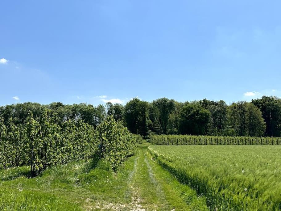 Vakantiewoning Hoogveld Kortessem Zewnętrze zdjęcie