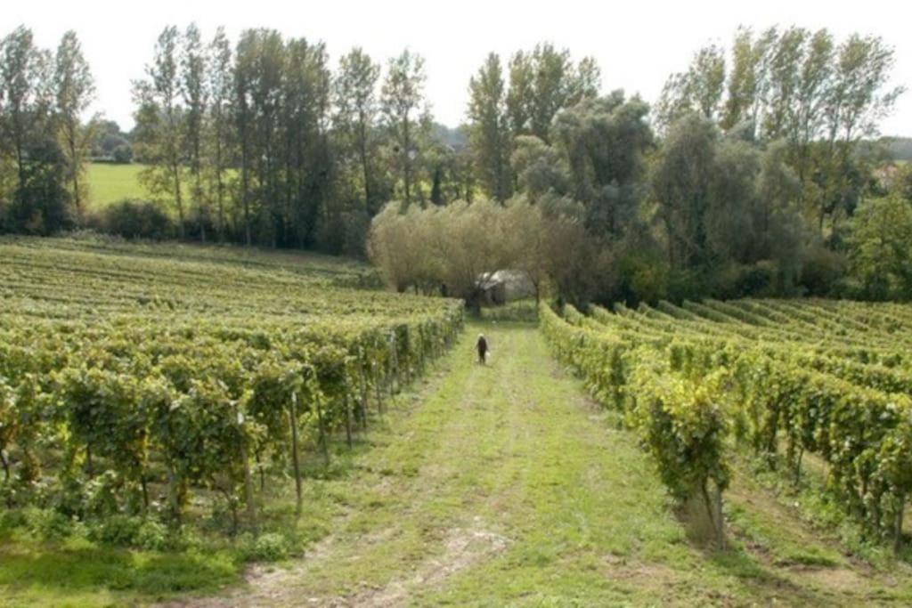 Vakantiewoning Hoogveld Kortessem Zewnętrze zdjęcie