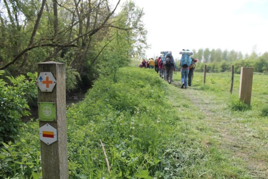 Vakantiewoning Hoogveld Kortessem Zewnętrze zdjęcie